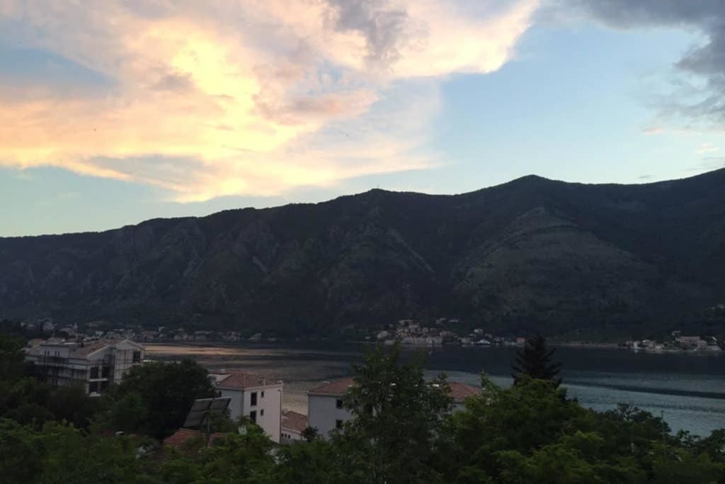 Апартаменты Bellevue Kotor Bay Котор-17