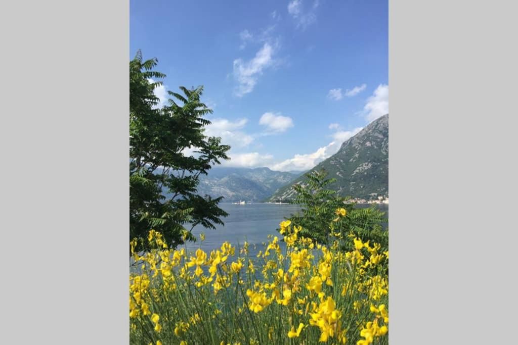 Апартаменты Bellevue Kotor Bay Котор-40