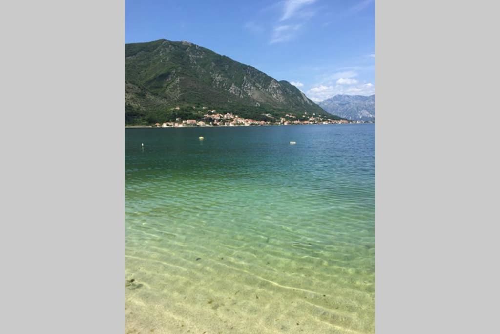 Апартаменты Bellevue Kotor Bay Котор-81