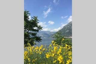 Апартаменты Bellevue Kotor Bay Котор Апартаменты с 2 спальнями-80